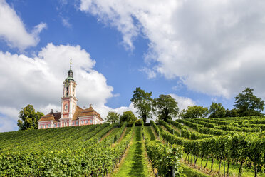 Germany, Baden-Wuerttemberg, Uhldingen-Muehlhofen, Birnau, Basilica and vineyard - PUF01044