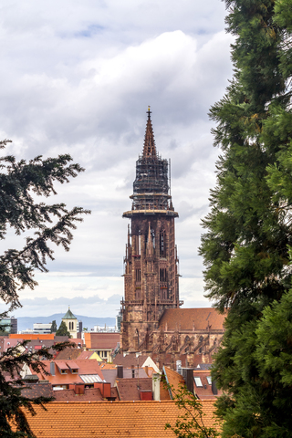 Deutschland, Baden Württemberg, Freiburg, Freiburger Münster, lizenzfreies Stockfoto
