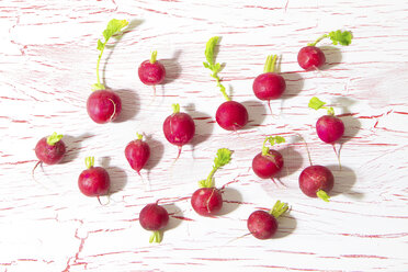 Red radish on wood - CMF00759