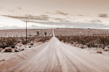 USA, Kalifornien, Joshua Tree, eine unbefestigte Straße durch die Wüste von Joshua Tree - WVF00857