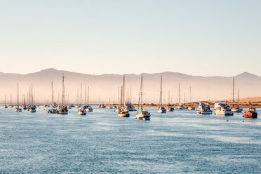 USA, California, Morro Bay, port of Morro Bay, sailing boats - WVF00863