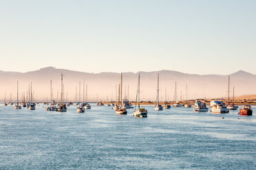 USA, Kalifornien, Morro Bay, Hafen von Morro Bay, Segelboote - WVF00863