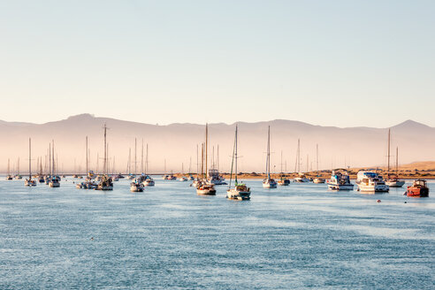 USA, Kalifornien, Morro Bay, Hafen von Morro Bay, Segelboote - WVF00863