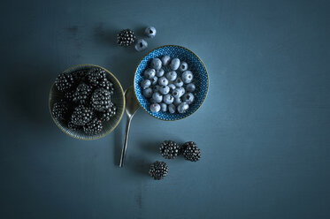 Schale mit Heidelbeeren und Schale mit Brombeeren auf blauem Grund - ASF06139