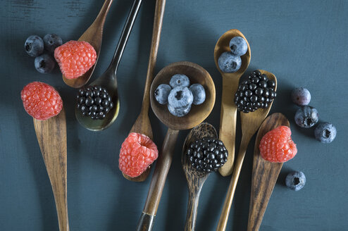 Blueberries, blackberries and raspberries on different spoons - ASF06142