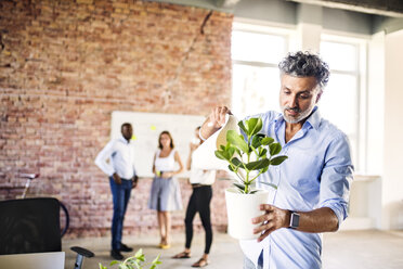 Geschäftsmann bewässert Pflanze im Büro mit Kollegen im Hintergrund - HAPF02581