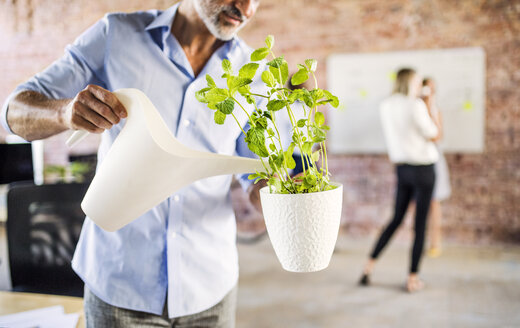 Businessman watering plant in office with colleagues in background - HAPF02582