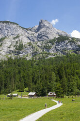 Austria, Upper Austria, Salzkammergut, Gosau, Holzmeisteralm, Dachstein massif - WWF04036