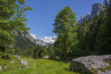 Österreich, Oberösterreich, Salzkammergut, Gosau, Holzmeisteralm, Dachsteinmassiv - WWF04037