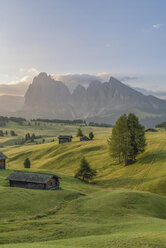 Italy, South Tyrol, Seiser Alm, barns in the morning - RPSF00085