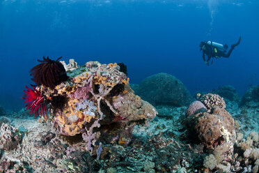 Indonesia, Bali, Nusa Lembonga, Nusa Penida, female diver at coral reef - ZCF00599