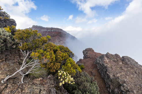 La Réunion, La Réunion-Nationalpark, Le Cratere Commerson - FOF09599