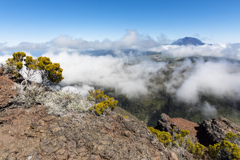 La Réunion, Nationalpark La Réunion, Route forestiere du Volcan, Blick vom Riviere des Remparts und Piton des Neiges - FOF09601