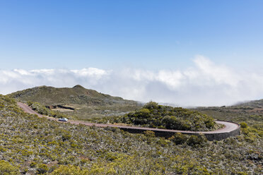 Reunion, Reunion National Park, Route du volcan - FOF09618