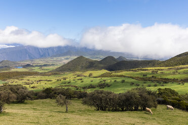 La Réunion, La Réunion-Nationalpark, Route du volcan - FOF09619