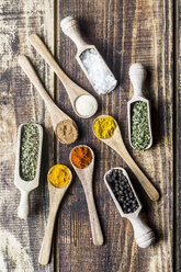 Spicies, curry, chilli, cinnamon, curcuma, garlic, parsley, oregano, salt and pepper on wooden spoons - SARF03462