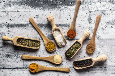 Spicies, curry, chilli, cinnamon, curcuma, garlic, parsley, oregano, salt and pepper on wooden spoons - SARF03464