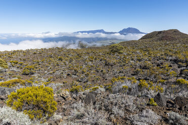 Reunion, Reunion National Park, Piton de la Fournaise, Route du volcan, Plaine des Remparts and Piton des Neiges - FOF09626