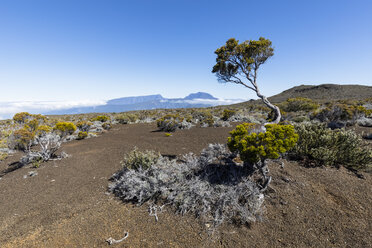 La Réunion, La Réunion-Nationalpark, Piton de la Fournaise, Route du volcan, Plaine des Sables - FOF09630