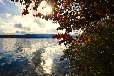 Lake Constance in autumn against the sun stock photo