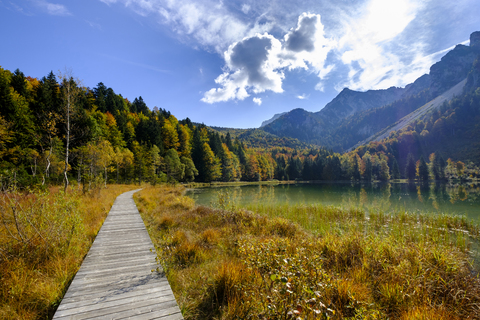 Deutschland, Bayern, Oberbayern, Chiemgau, Inzell, Frillensee im Herbst, lizenzfreies Stockfoto