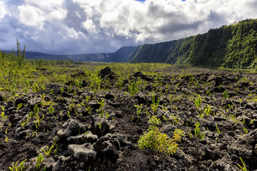 La Réunion, Piton de la Fournaise, Grand Brule, Lavafeld - FOF09633