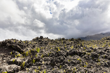 La Réunion, Piton de la Fournaise, Grand Brule, Lavafeld - FOF09634