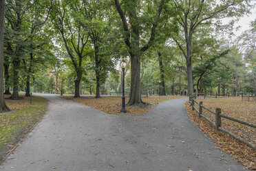 USA, New York City, Manhattan, Central Park - RPSF00136