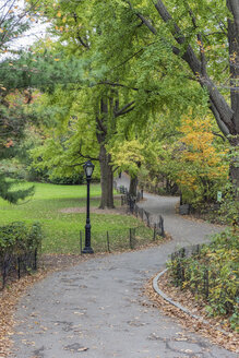 USA, New York City, Manhattan, Central Park - RPSF00137