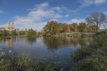 USA, New York City, Manhattan, Central Park - RPSF00155