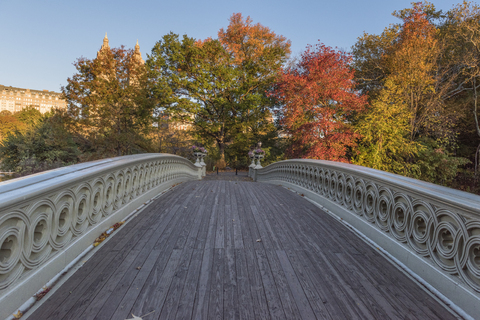 USA, New York City, Manhattan, Brücke im Central Park, lizenzfreies Stockfoto