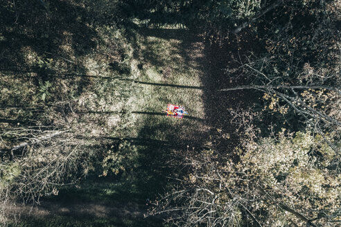 Luftaufnahme von zwei Frauen auf einer Decke in einer herbstlichen Waldlichtung - MGOF03718