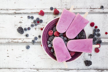 Hausgemachte Wildbeeren-Eislutscher mit Himbeeren, Heidelbeeren, Johannisbeeren und Brombeeren in einer Schale - LVF06600