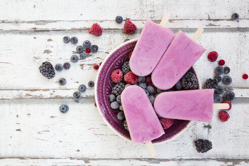 Hausgemachte Wildbeeren-Eislutscher mit Himbeeren, Heidelbeeren, Johannisbeeren und Brombeeren in einer Schale - LVF06600