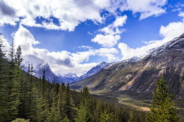 Kanada, Alberta, Jasper-Nationalpark, Tonquin-Tal - SMAF00920