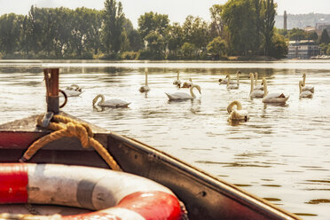 Czech Republic, Prague, swans and boat on Vltava - CSTF01588