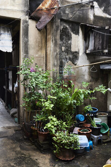 Thailand, Bangkok, Pflanzen und Schrott vor einem heruntergekommenen Haus - IGGF00379