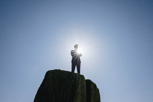 Businessman figurine standing - FLAF00008