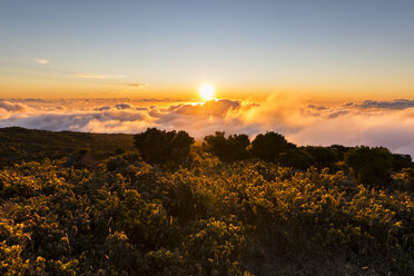 La Réunion, Nationalpark La Réunion, Aussichtspunkt Maido, Blick vom Vulkan Maido auf Wolkenmeer und Sonnenuntergang - FOF09666