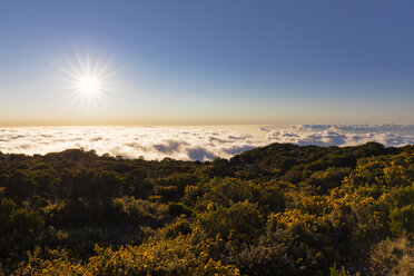 La Réunion, Nationalpark La Réunion, Aussichtspunkt Maido, Blick vom Vulkan Maido auf Wolkenmeer und Sonnenuntergang - FOF09673