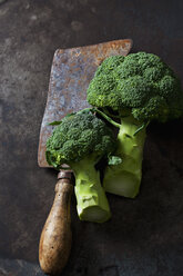 Broccoli and rusty cleaver - CSF28665