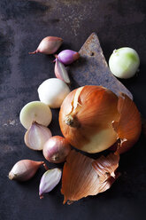 Various sorts of onions on rusty ground - CSF28674