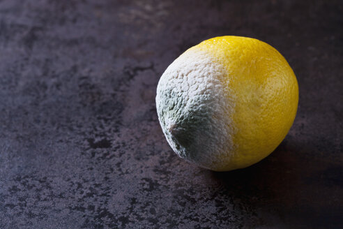 Schimmelige Zitrone auf rostigem Boden - CSF28715
