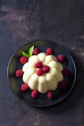 Custard with raspberries on plate - CSF28728