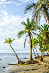 Costa Rica, Limon, Puerto Viejo, Chiquita Strand - KIJF01858