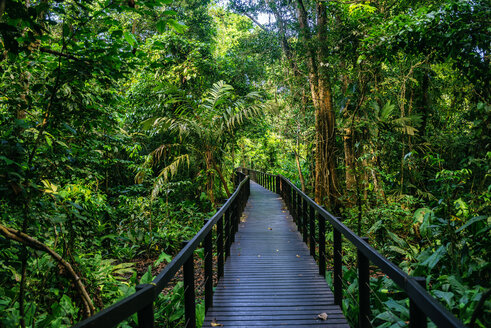 Costa Rica, Limon, Holzpfad im Cahuita-Nationalpark - KIJF01863