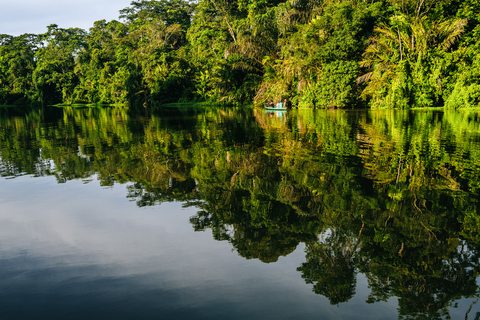 Costa Rica, Tortuguero, Landschaft mit Spiegelung in den Mangroven von Tortuguero, lizenzfreies Stockfoto