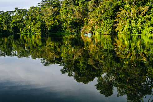 Costa Rica, Tortuguero, Landschaft mit Spiegelung in den Mangroven von Tortuguero - KIJF01879