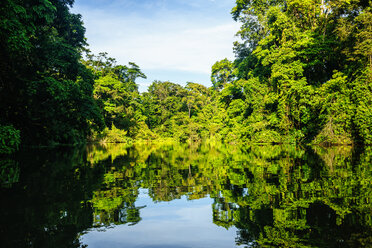 Costa Rica, Tortuguero, Landscape with reflection in the mangroves of Tortuguero - KIJF01880