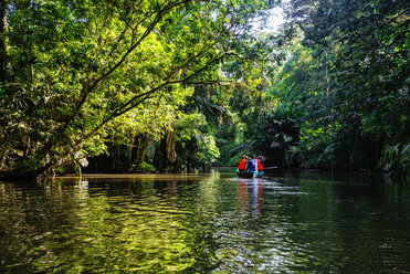 Costa Rica, Tortuguero, Touristen fahren mit dem Kanu durch die Mangroven von Tortuguero - KIJF01881